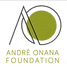 Fundación André Onana